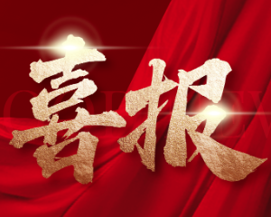 喜报｜leyu-乐鱼（中国）官方网站_leyu.com两项科研成果双双荣获2025年度天津市科学技术进步二等奖！